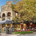 4 Thomas Street, McMahons Point, NSW 2060 AUS